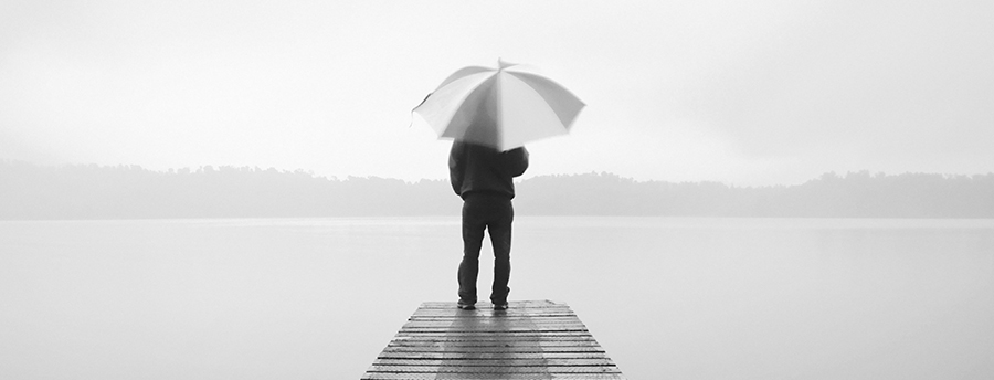 Still Rising: How Displaced Professionals Over 55 Can Recover Their Purpose and Power in the Modern Workforce